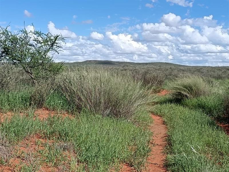 0 Bedroom Property for Sale in Prieska Northern Cape